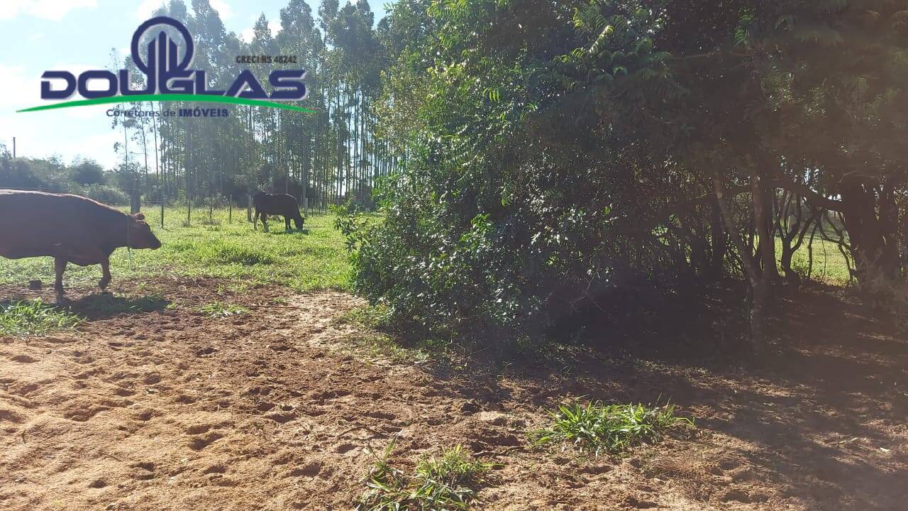 Fazenda à venda com 3 quartos, 10000m² - Foto 20