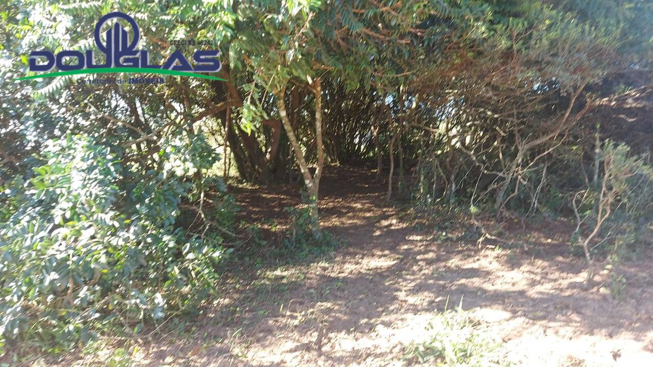 Fazenda à venda com 3 quartos, 10000m² - Foto 22