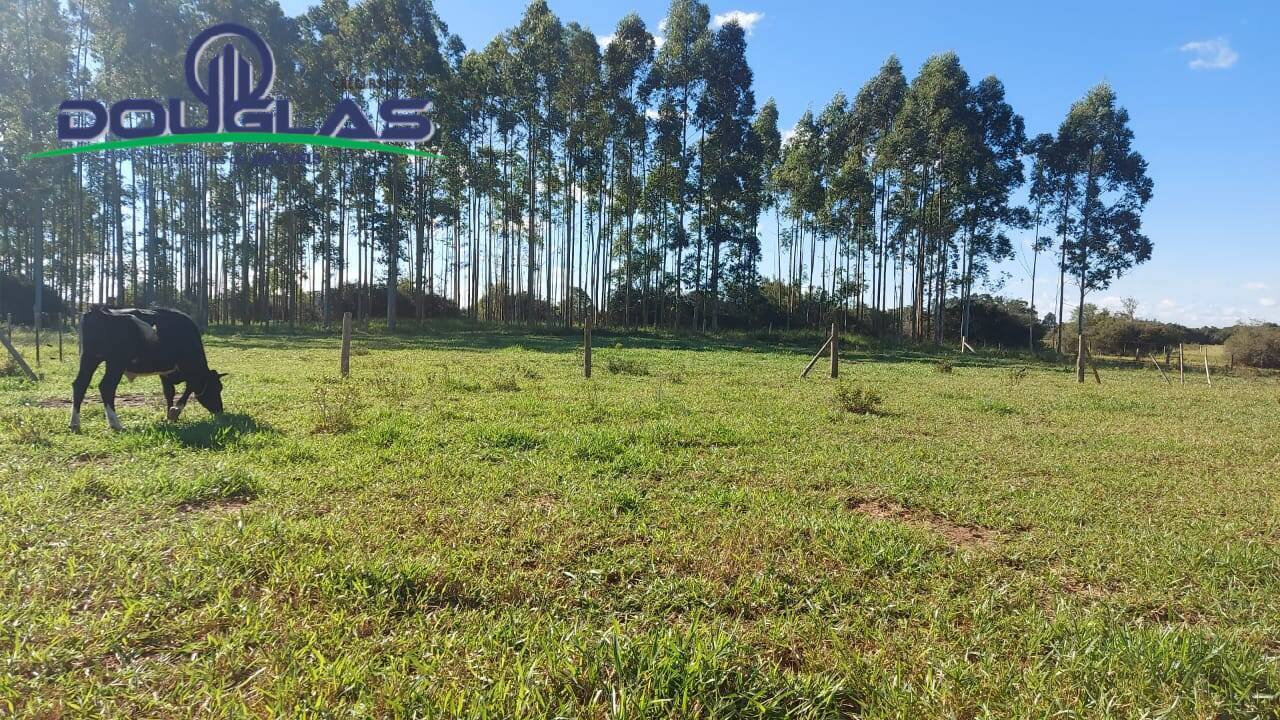 Fazenda à venda com 3 quartos, 10000m² - Foto 23