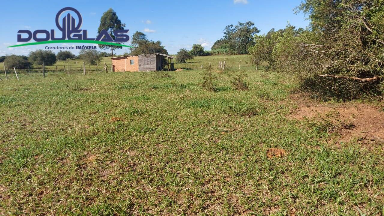 Fazenda à venda com 3 quartos, 10000m² - Foto 24