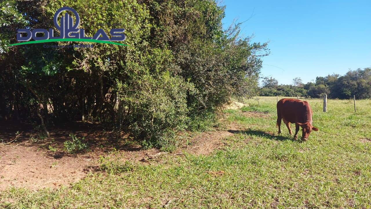 Fazenda à venda com 3 quartos, 10000m² - Foto 26