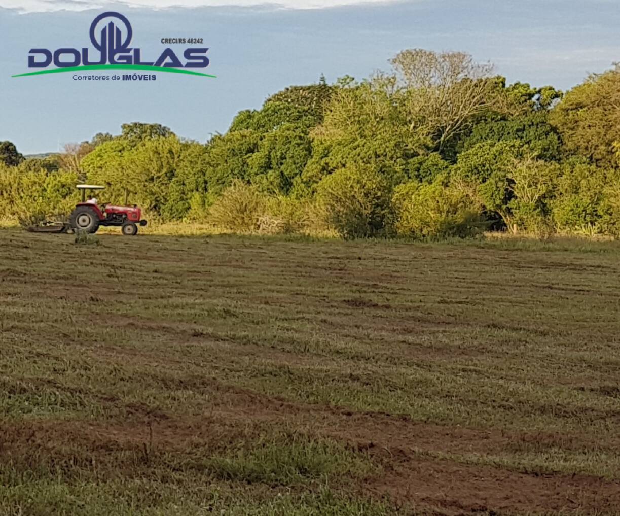 Terreno à venda - Foto 6