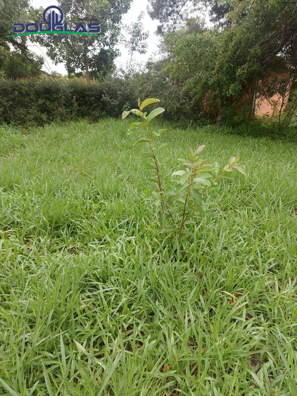 Terreno à venda, 600m² - Foto 4