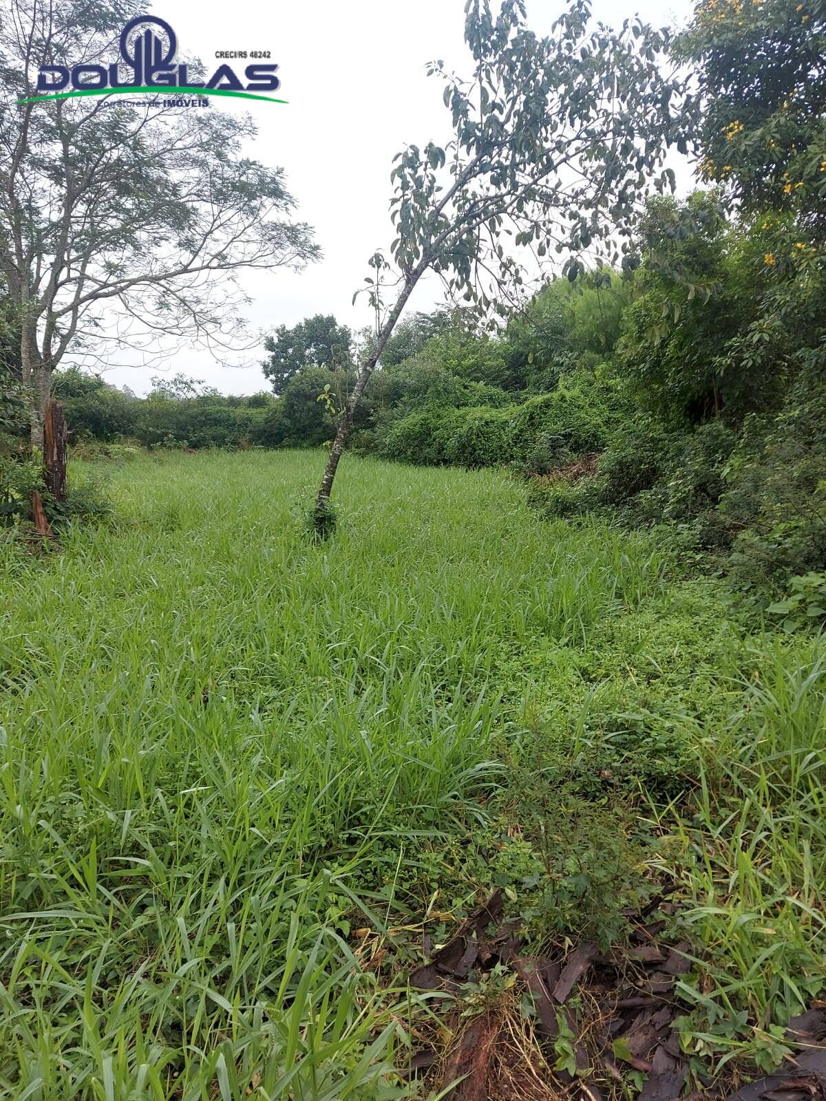 Terreno à venda, 600m² - Foto 13