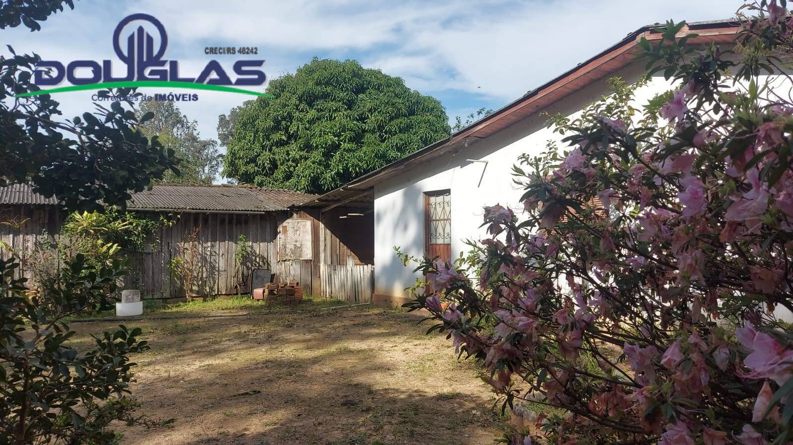 Fazenda à venda com 4 quartos, 5000m² - Foto 20