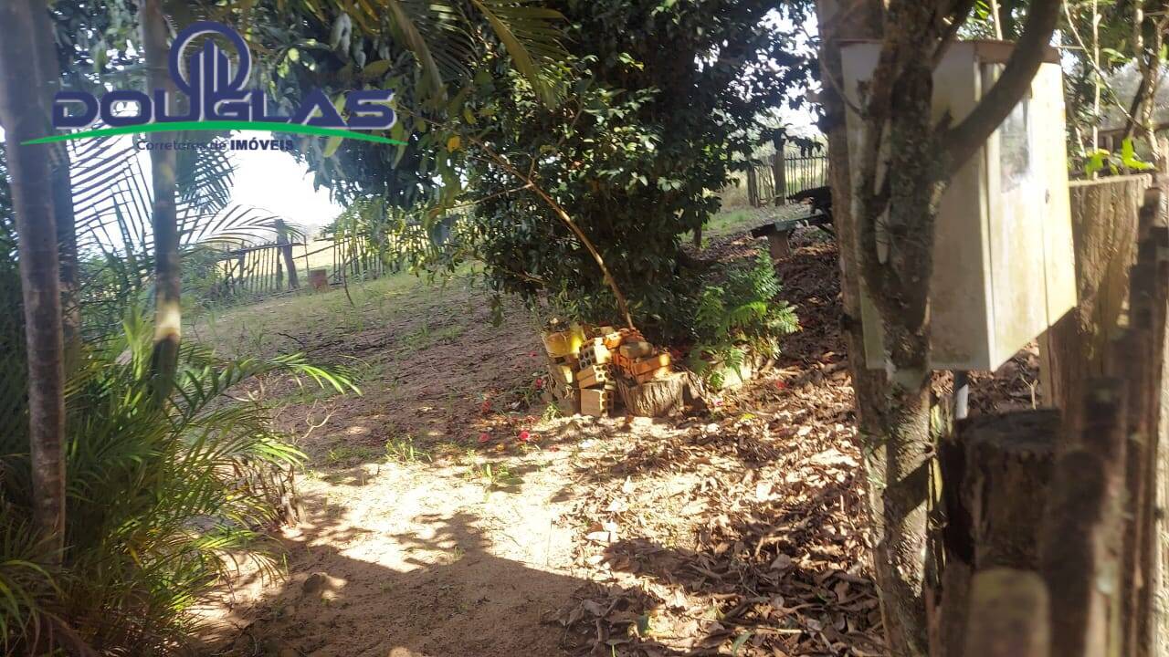 Fazenda à venda com 4 quartos, 5000m² - Foto 22