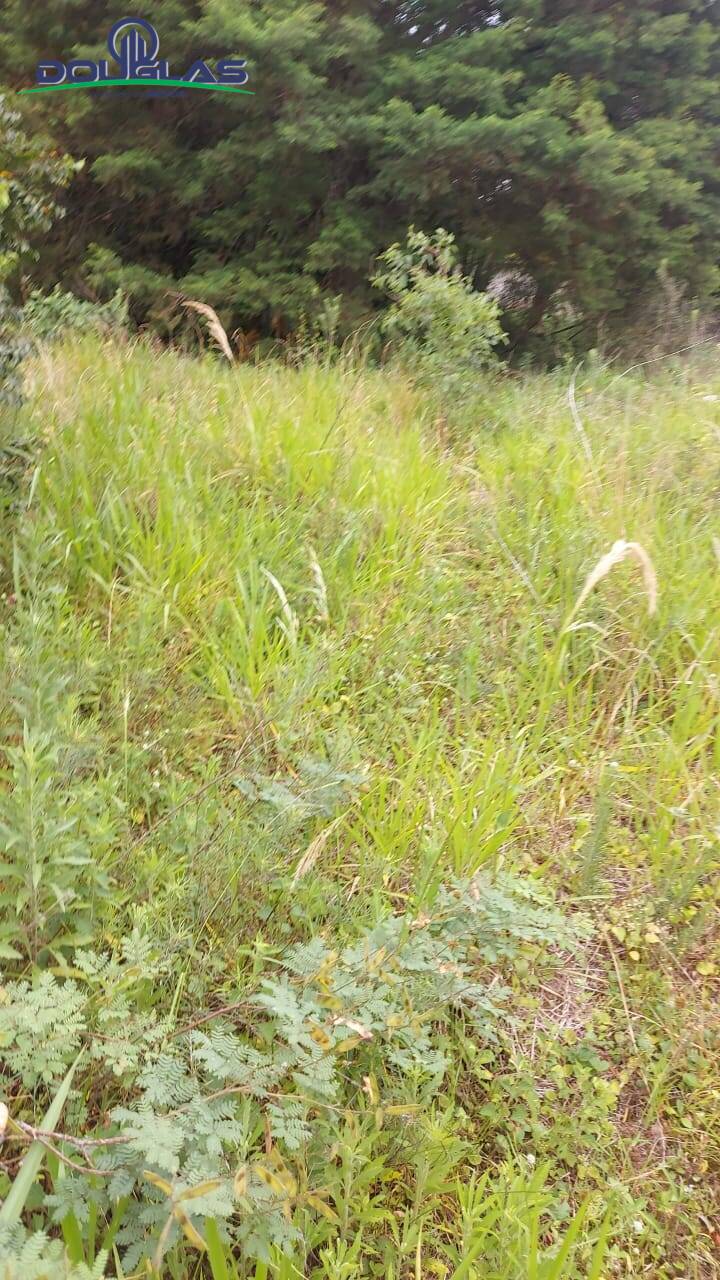 Terreno à venda - Foto 3