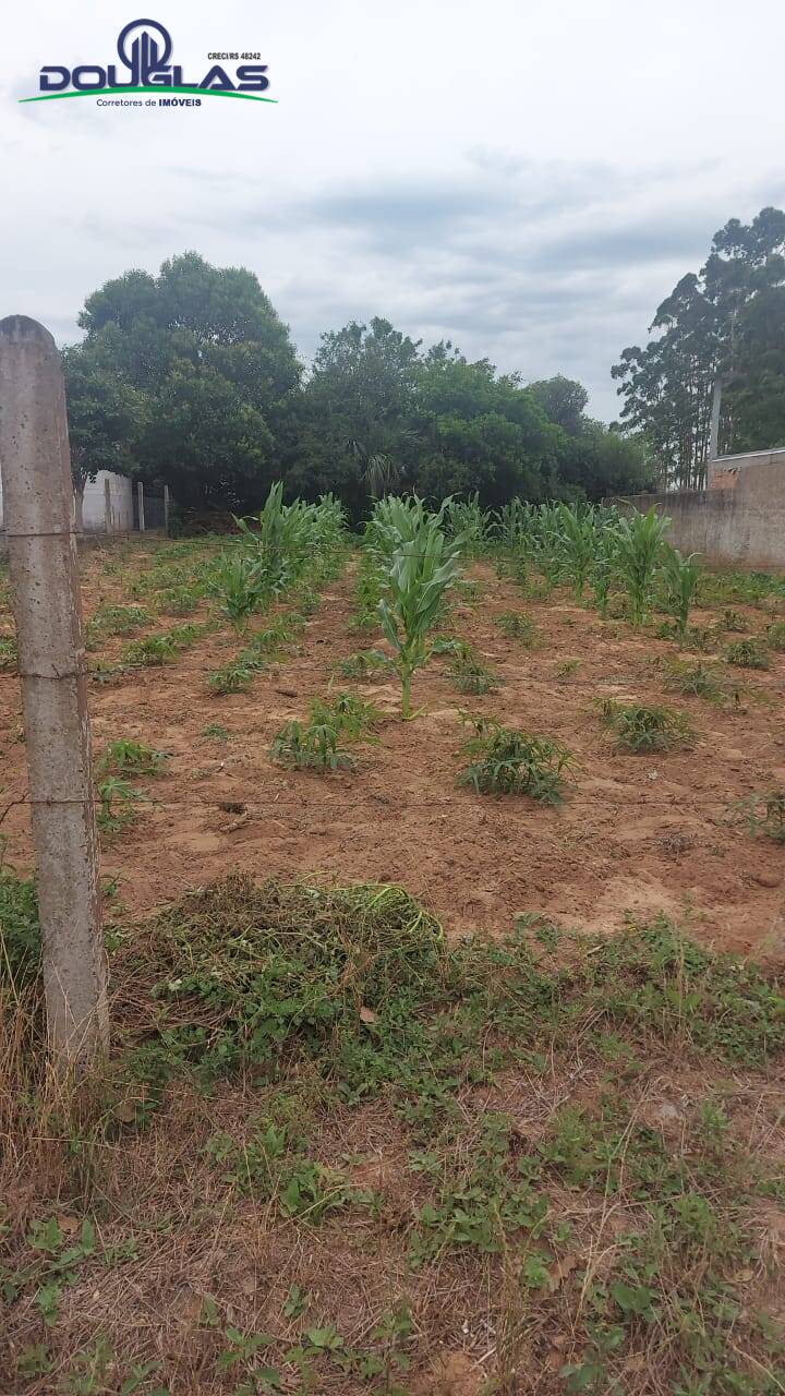 Terreno à venda - Foto 1