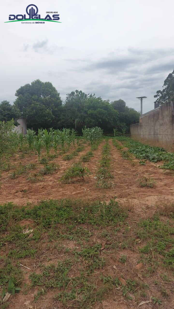 Terreno à venda - Foto 4