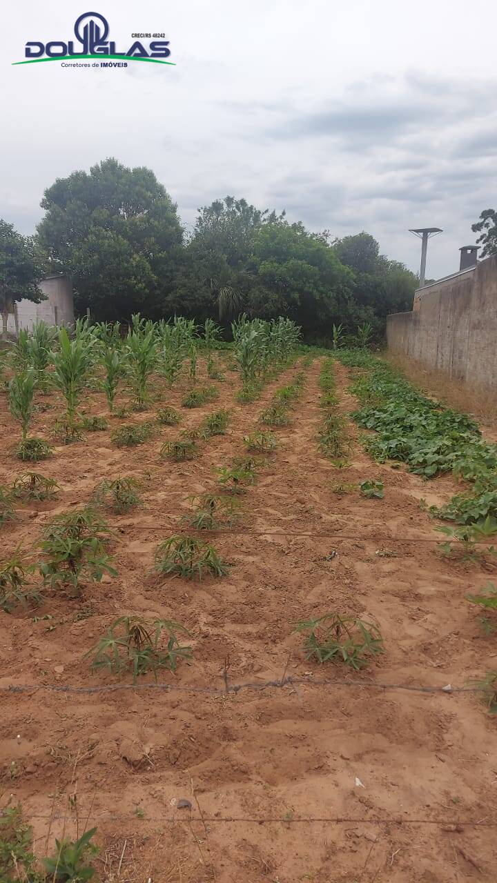 Terreno à venda - Foto 5