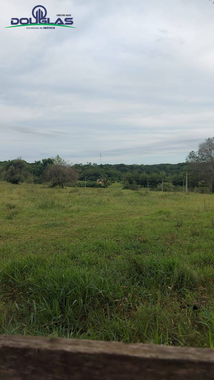 Fazenda à venda com 2 quartos, 1m² - Foto 29