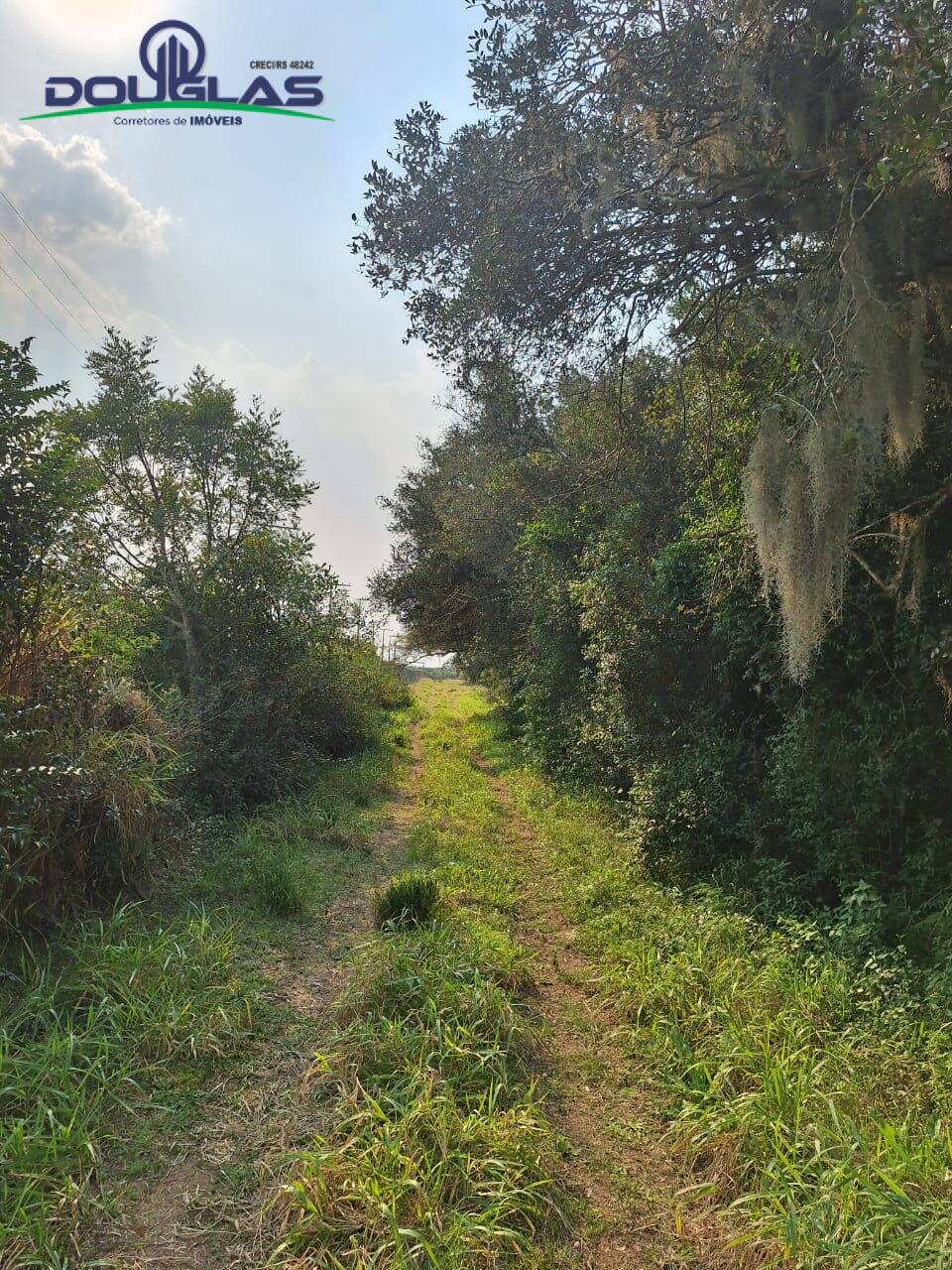 Terreno à venda - Foto 4