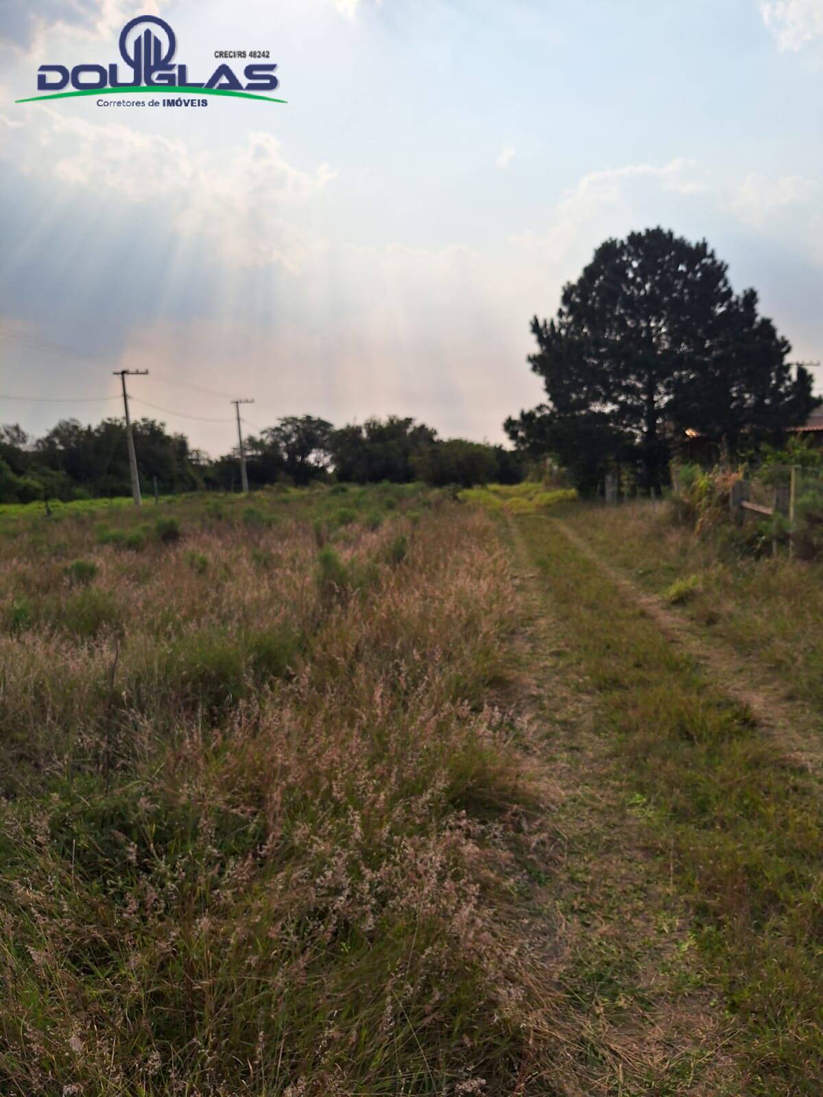 Terreno à venda - Foto 8