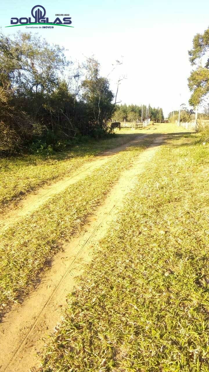 Terreno à venda, 1000m² - Foto 7