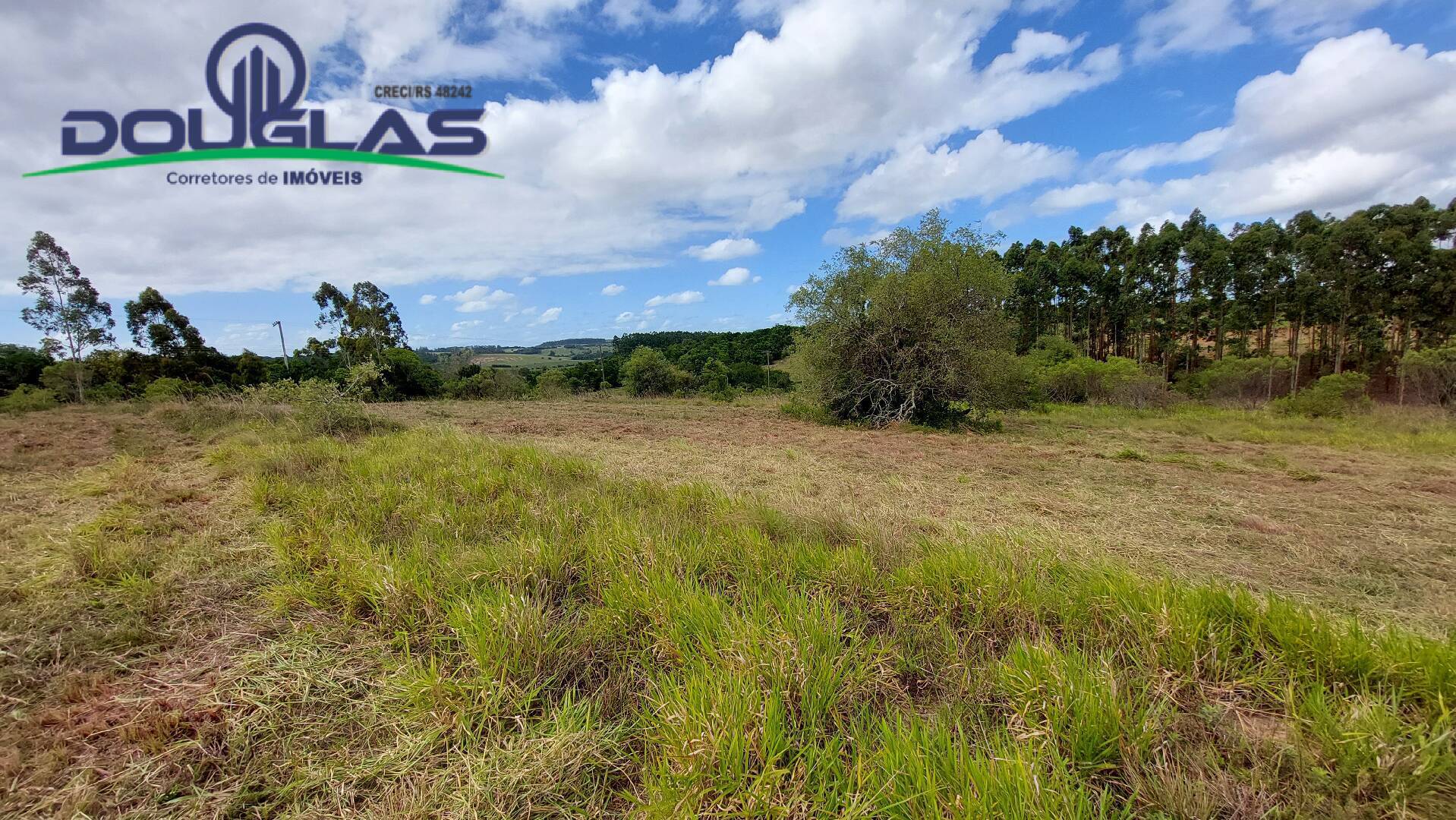 Terreno à venda, 60000m² - Foto 14