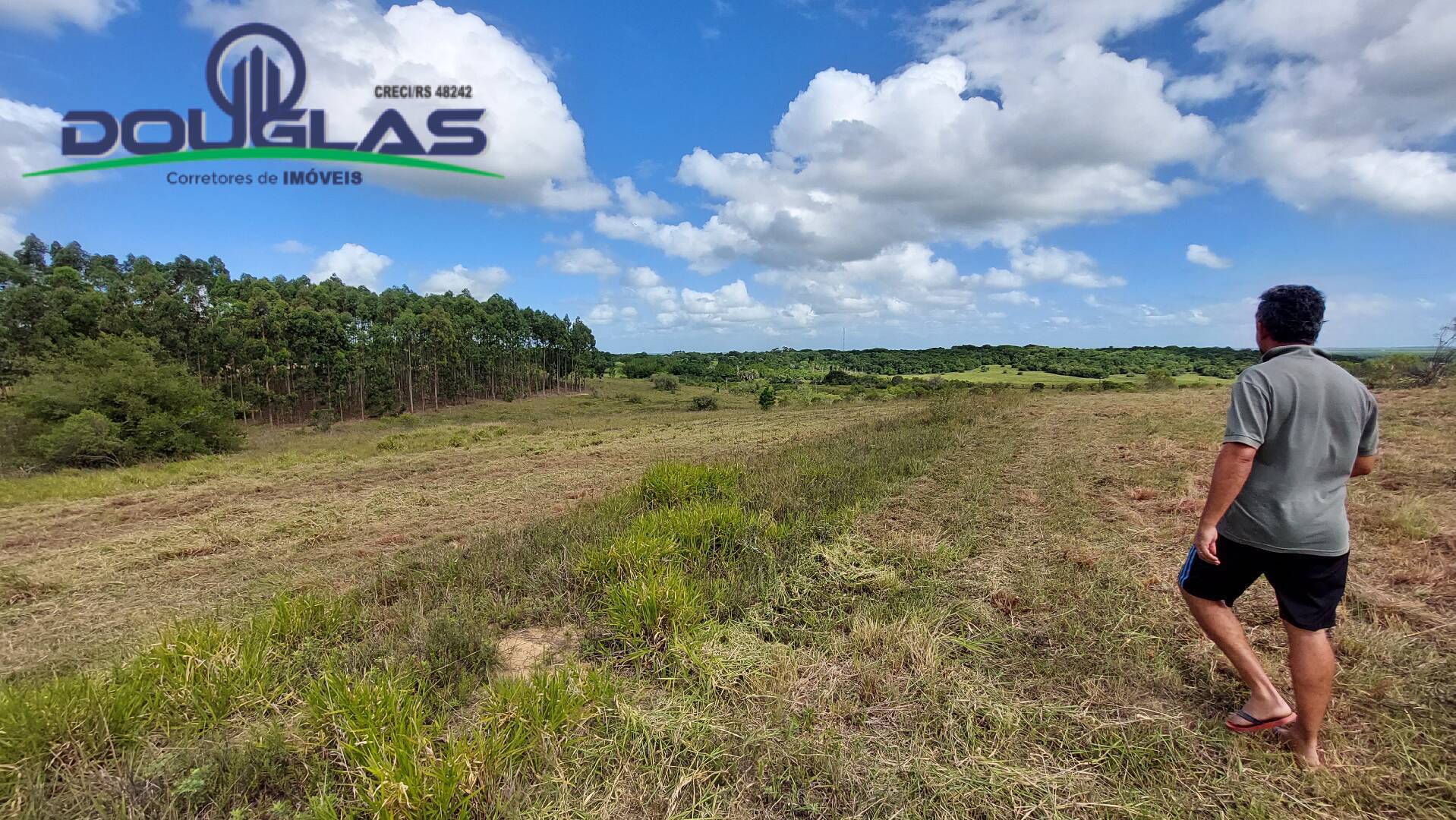 Terreno à venda, 60000m² - Foto 15