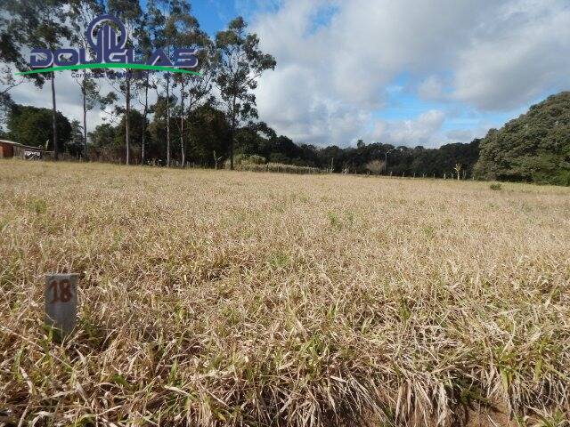 Terreno à venda, 1000m² - Foto 2