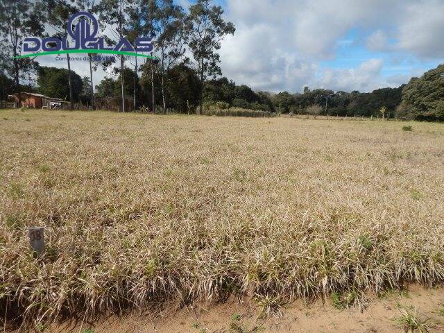 Terreno à venda, 1000m² - Foto 3