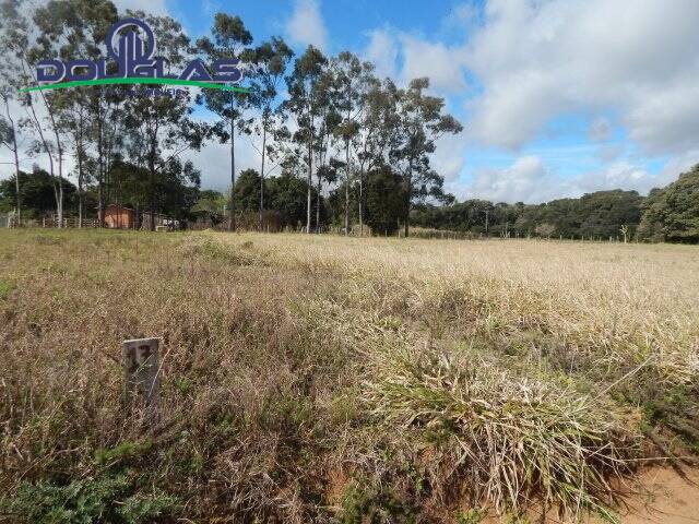 Terreno à venda, 1000m² - Foto 5