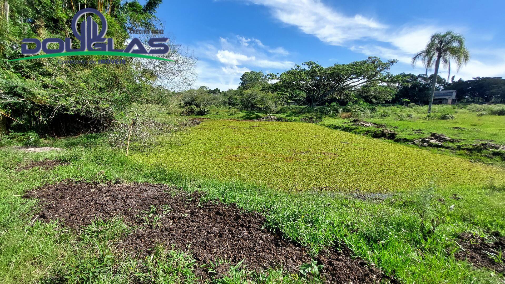 Terreno à venda - Foto 15