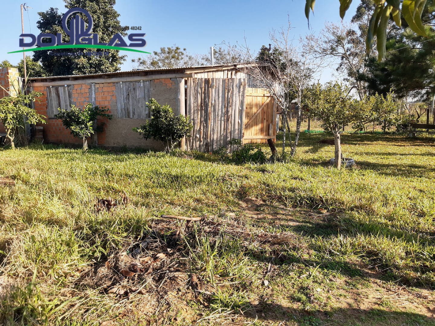 Casa à venda com 2 quartos, 60m² - Foto 6