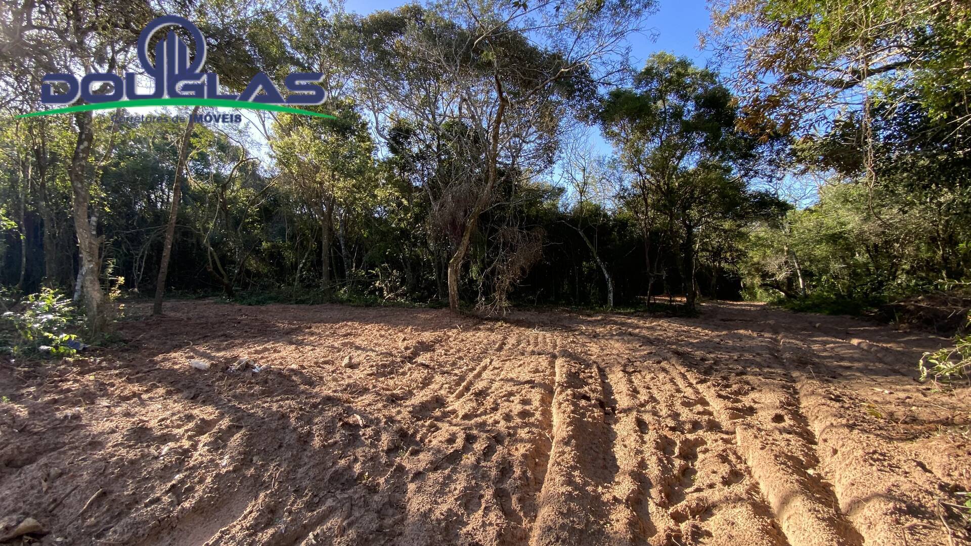 Terreno à venda - Foto 3