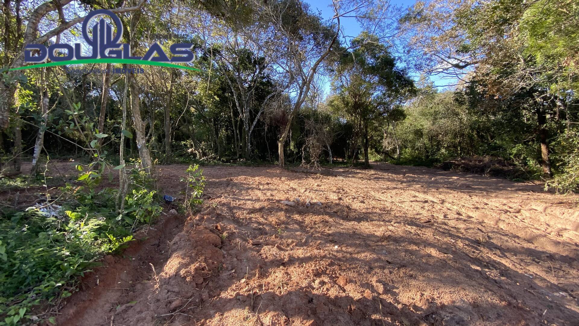 Terreno à venda - Foto 6