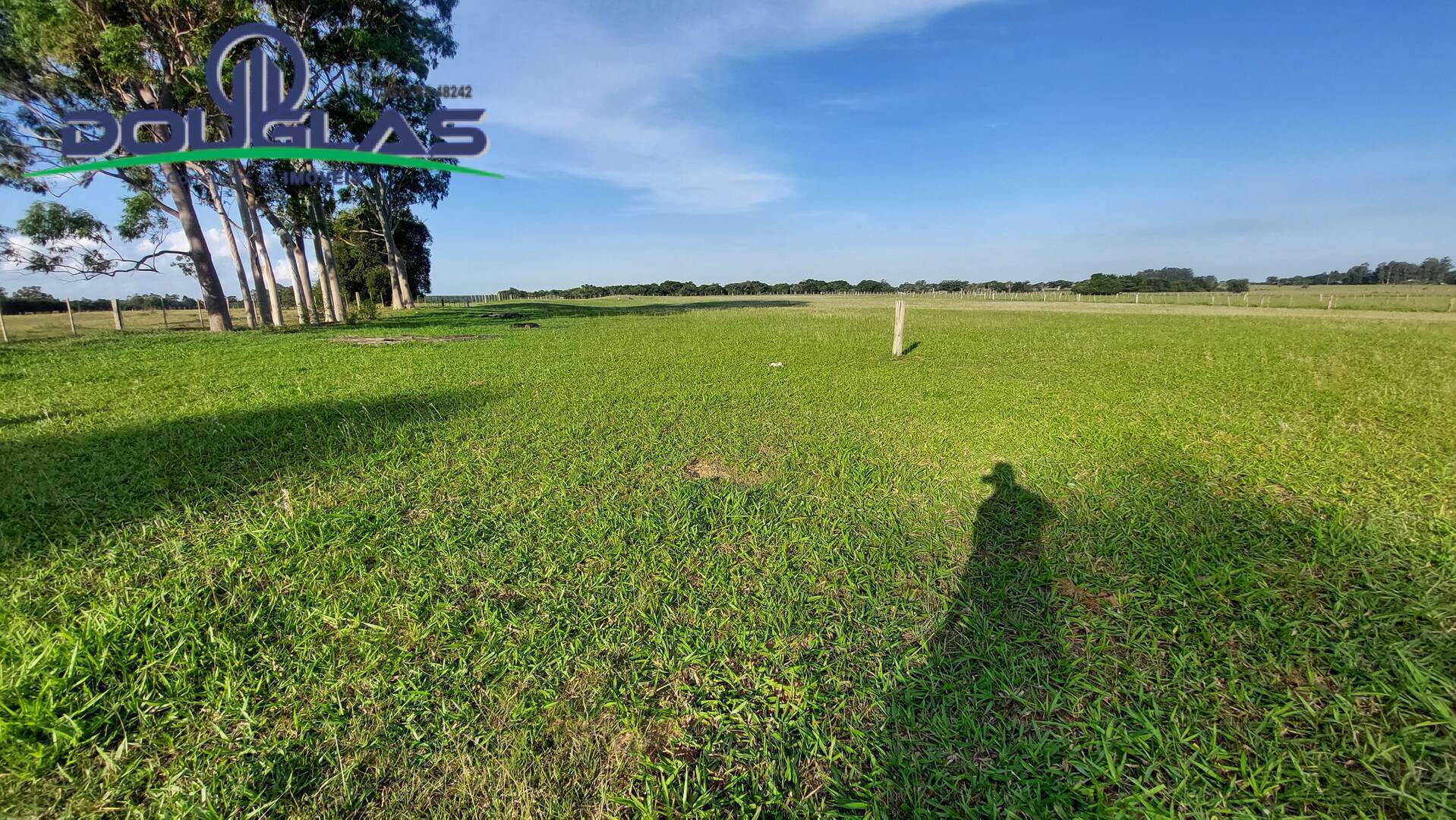 Fazenda à venda com 3 quartos, 20000m² - Foto 9