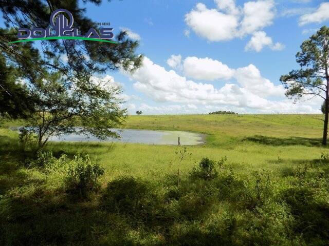 Fazenda à venda com 2 quartos, 190000m² - Foto 3