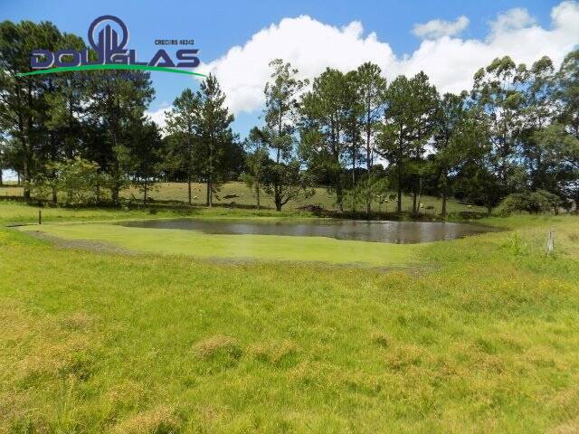 Fazenda à venda com 2 quartos, 190000m² - Foto 1