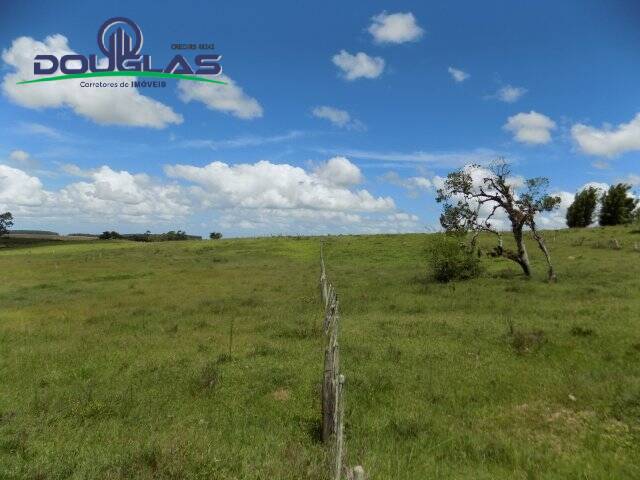 Fazenda à venda com 2 quartos, 190000m² - Foto 9