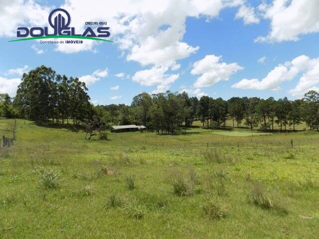 Fazenda à venda com 2 quartos, 190000m² - Foto 10