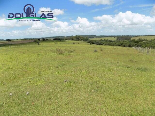 Fazenda à venda com 2 quartos, 190000m² - Foto 11