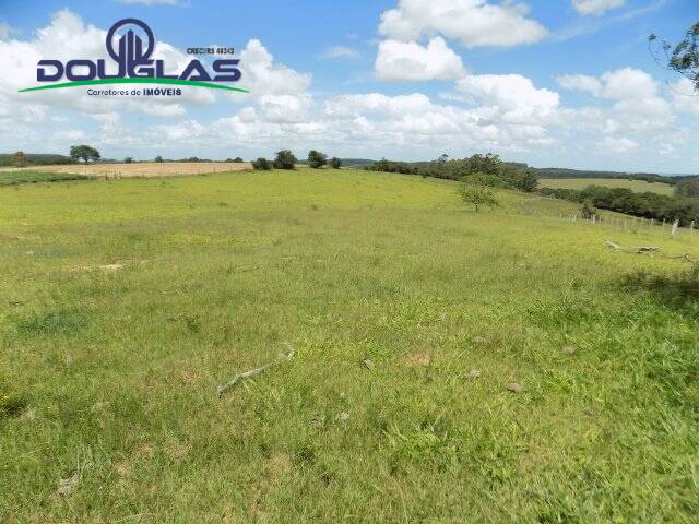 Fazenda à venda com 2 quartos, 190000m² - Foto 16