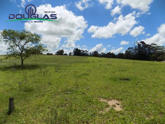 Fazenda à venda com 2 quartos, 190000m² - Foto 17