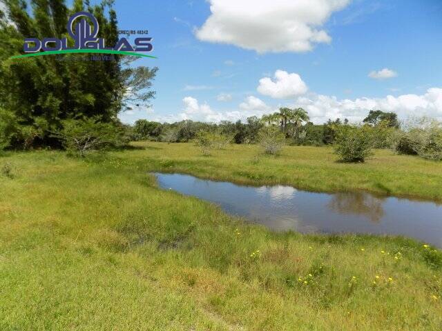 Fazenda à venda com 2 quartos, 190000m² - Foto 26