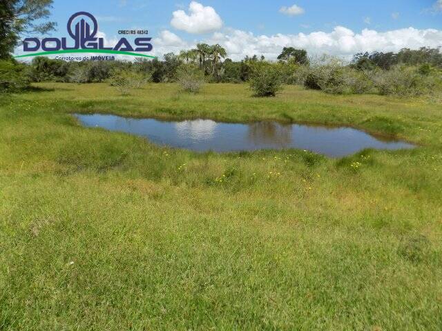 Fazenda à venda com 2 quartos, 190000m² - Foto 27