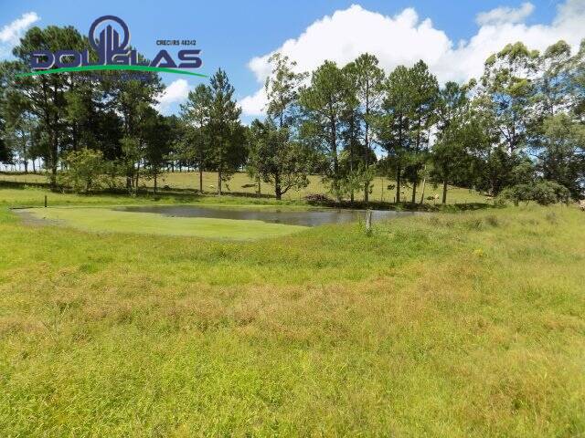 Fazenda à venda com 2 quartos, 190000m² - Foto 30