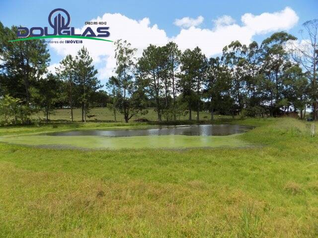 Fazenda à venda com 2 quartos, 190000m² - Foto 33