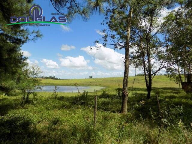 Fazenda à venda com 2 quartos, 190000m² - Foto 34